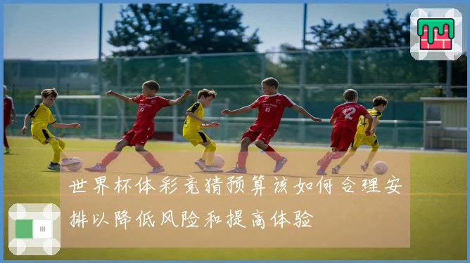 世界杯体彩竞猜预算该如何合理安排以降低风险和提高体验